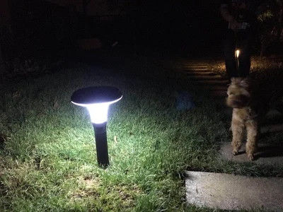 IP65 Lumière de pilier solaire avec support de flou