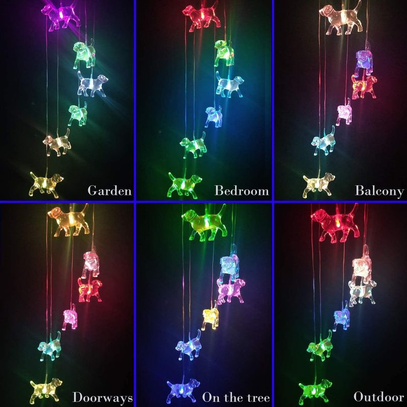 Lumière solaire pour les chiots à l'intérieur dans un jardin coloré
