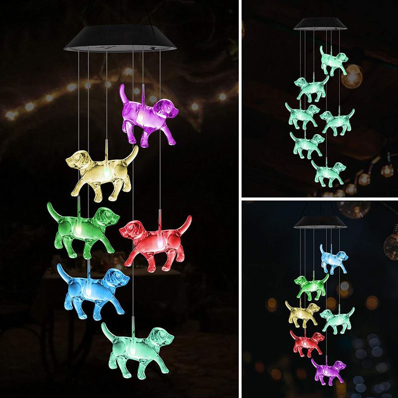 Lumière solaire pour les chiots à l'intérieur dans un jardin coloré