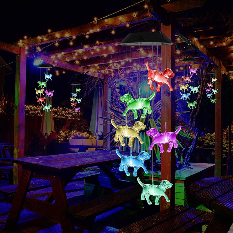 Lumière solaire pour les chiots à l'intérieur dans un jardin coloré
