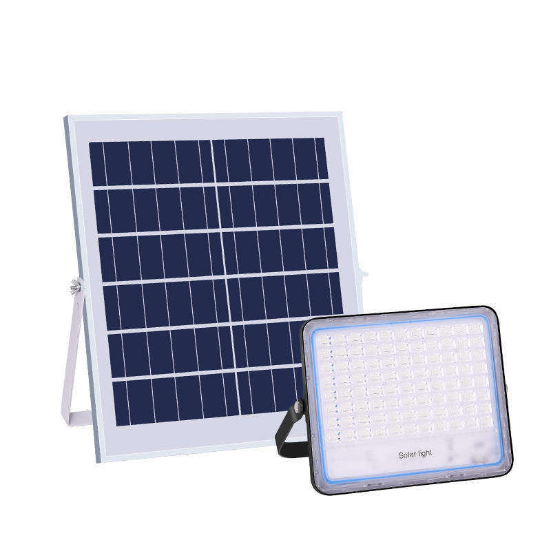 2- 100w lumière solaire à LED 12V 3000mA Ip65 éclairage de stade étanche